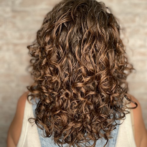 Long brunette curls with caramel highlights, back view